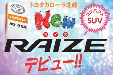 ライズ デビュー