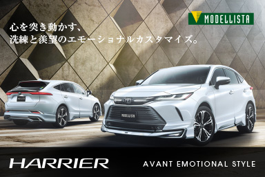 MODELLISTA AVANT EMOTIONAL STYLE(384x256)