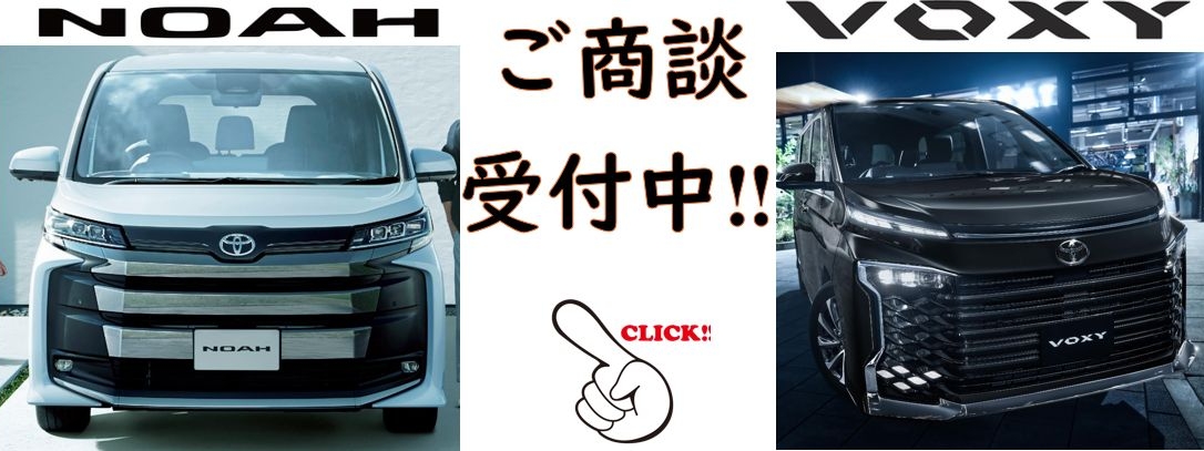 プラチナホワイトパールマイカ〈089〉フロントサイド