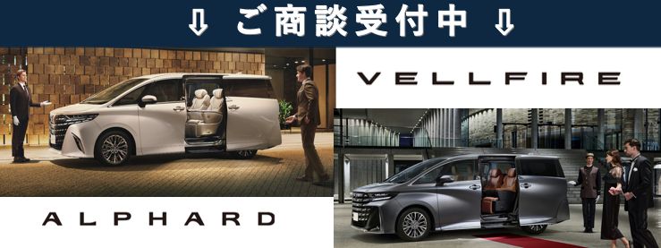 プレシャスレオブロンド〈4Y7〉フロントサイド